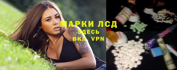 прущие грибы Абаза