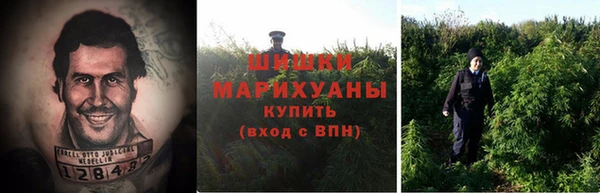 трава Абинск