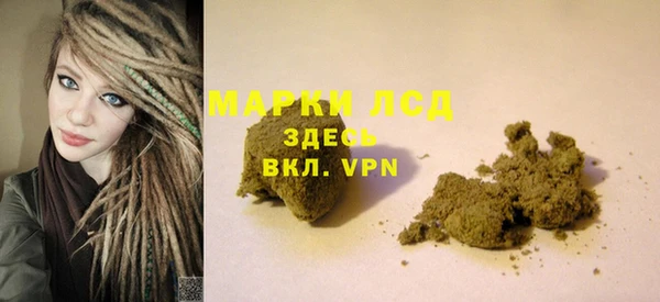 прущие грибы Абаза