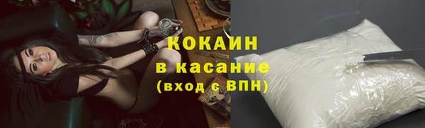 прущие грибы Абаза