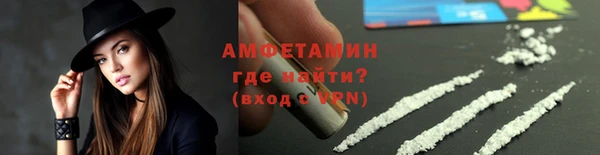 прущие грибы Абаза