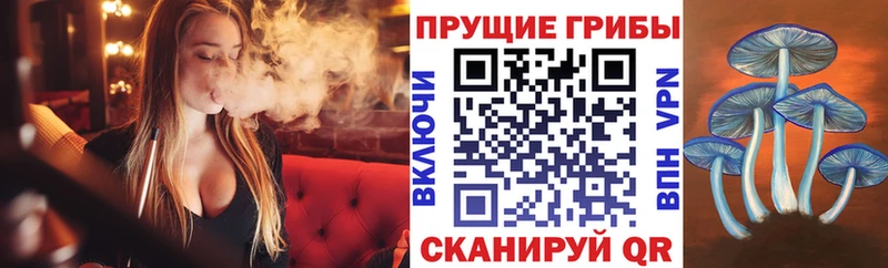 даркнет формула  где найти   Гаджиево  Псилоцибиновые грибы Magic Shrooms 